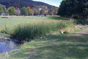 Compost-Based Bioretention Systems Help Dry Up Stormwater Issues