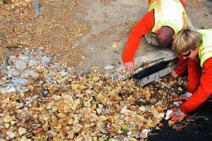 When Rain Season is Here, What Does Storm Runoff Tell Us?