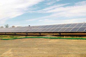 Sustainable Management Practices are a Bright Idea for Solar Project Sites