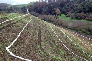 Compost Sock Now Approved for Temporary Erosion Control in Caltrans Manual