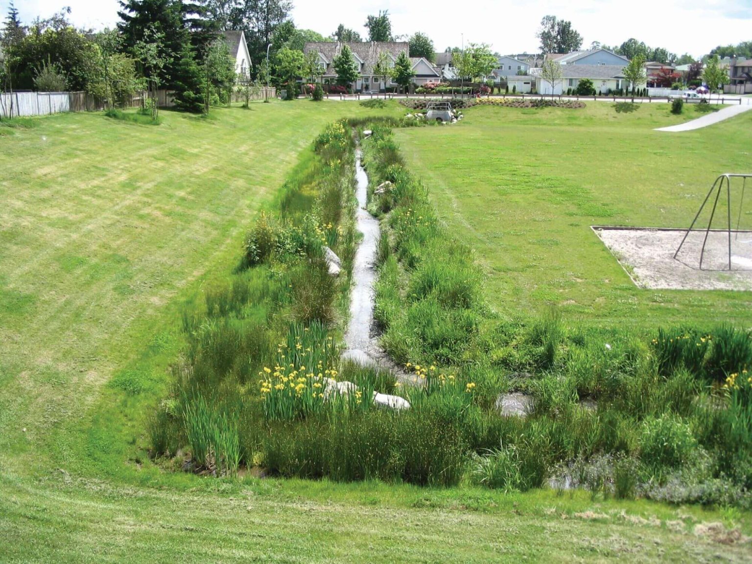 Bioswales | Bioswale Design and Installation | Innovative Bioswales ...