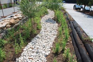 Advancements in Green Infrastructure: Combining Aesthetics with Functional Erosion Control