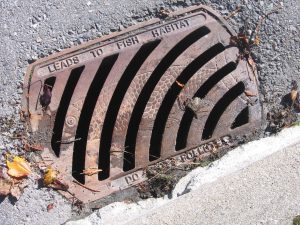 What Happens Between Rainstorms? Why Dry Weather Matters for Stormwater Success