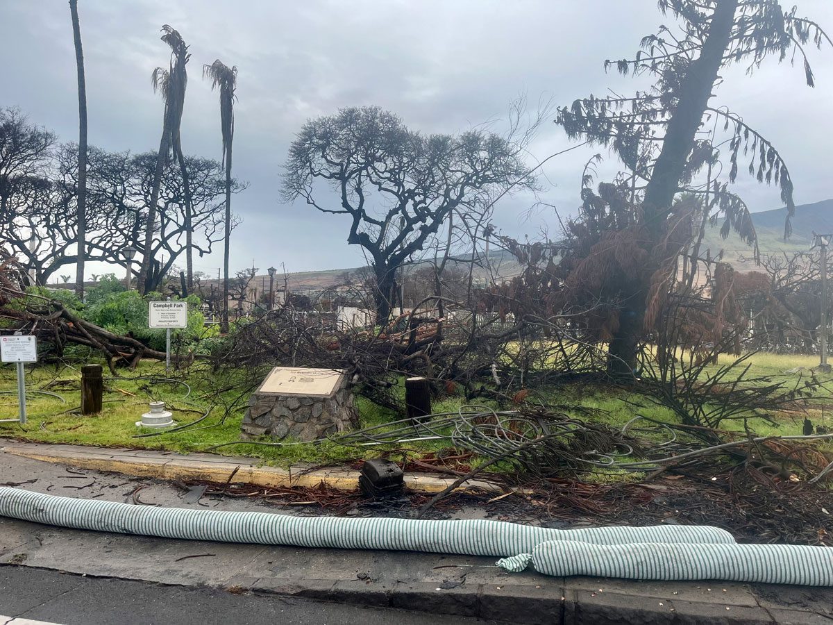 Applications for SiltSoxx and EnviroSoxx in Fire Remediation Applications for SiltSoxx and EnviroSoxx in Fire Remediation