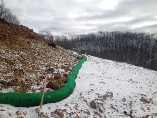 2. Reassess Soil Conditions and Site Vulnerability