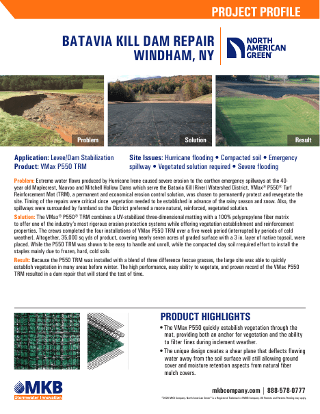 Batavia Kill Dam Repair project profile
