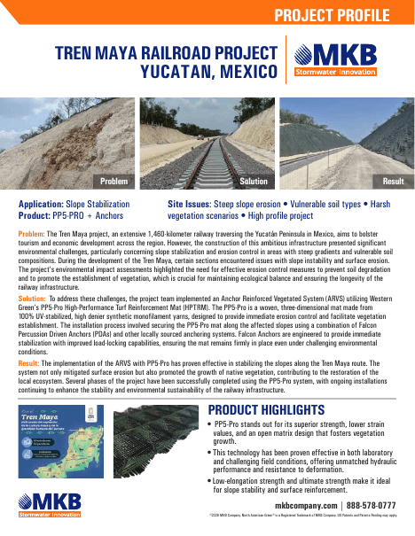 Tren Maya Railroad Project project profile