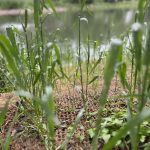 Why Choose Natural Fiber Mats?