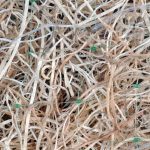 Excelsior erosion control blanket Standard Net Close up