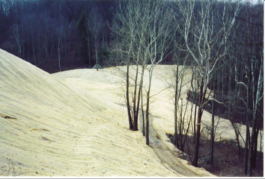 Why Choose North American Green® Excelsior Fiber Erosion Control Blankets?