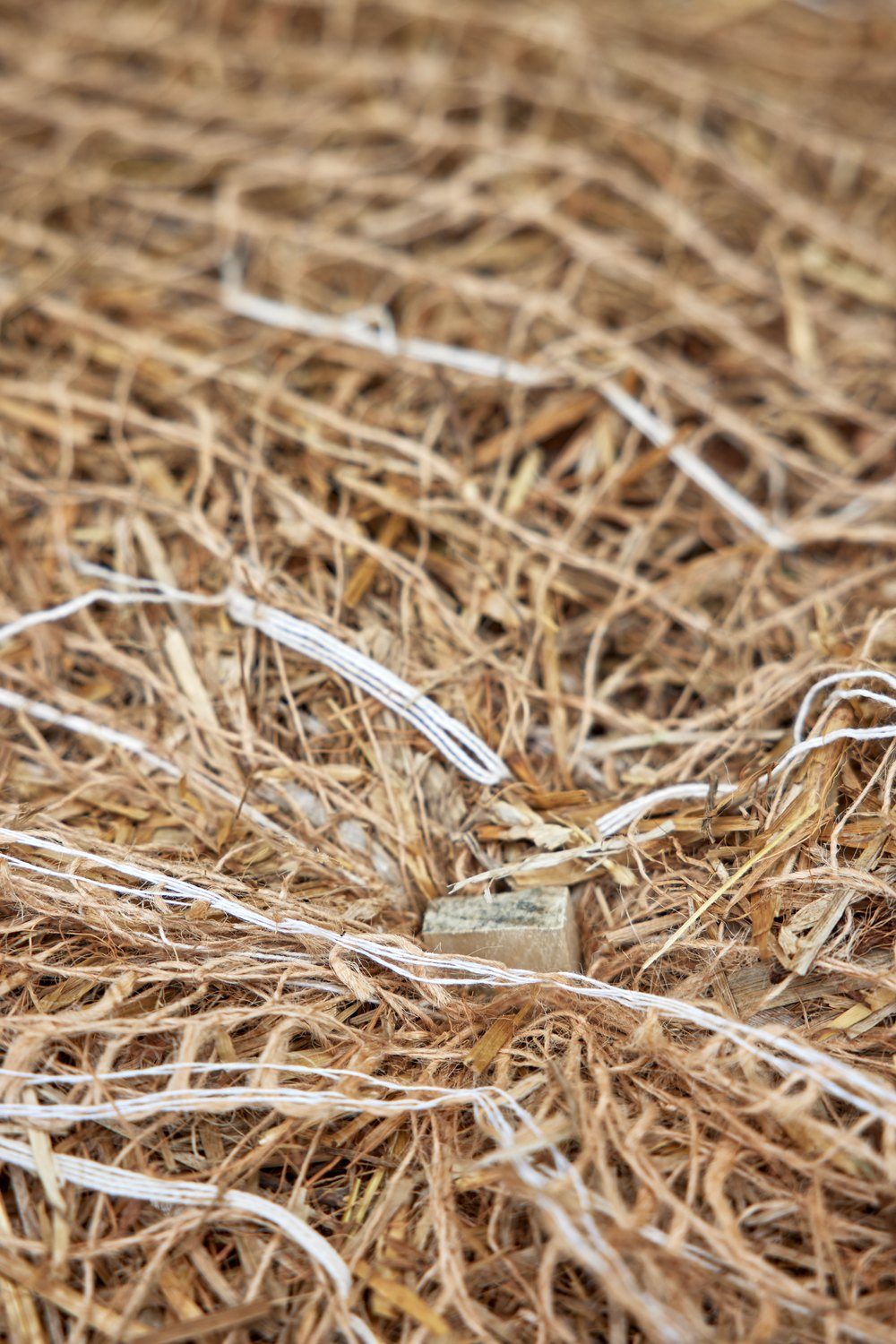 Eco-Peg wood stake pinning a straw erosion control blanket