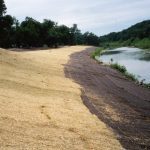 Straw erosion control blanket S150 on a streambank