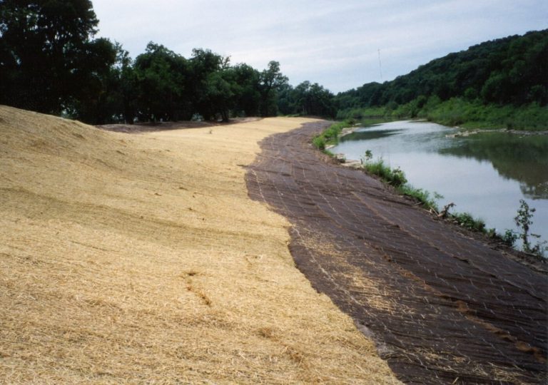 Straw erosion control blanket S150 on a streambank